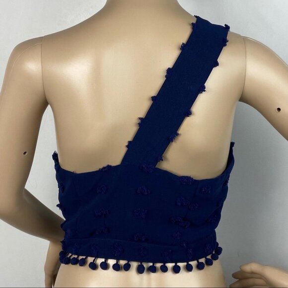 Tularosa Revolve Allie Crop Top Blue One Shoulder Size Small Swiss Dot Tassel S - Picture 3 of 9